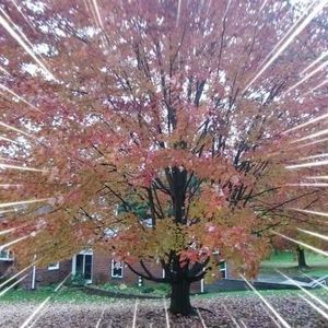 Meet your Posher, Jim